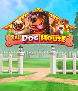 Pragmatic Play's The Dog House Slot, featuring an adorable experience through charming canines. Discover features including free spins, perfect for delivering exciting wins. Perfect for those who enjoy a cheerful atmosphere alongside lucrative rewards.