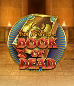 Dive into the thrilling world of Book of Dead by Play'n GO, presenting vivid graphics of Rich Wilde’s adventurous journey through ancient Egyptian tombs and artifacts. Discover lost riches with exciting mechanics like free spins, expanding symbols, and a gamble option. Ideal for those seeking adventure with a desire for unearthing secrets.